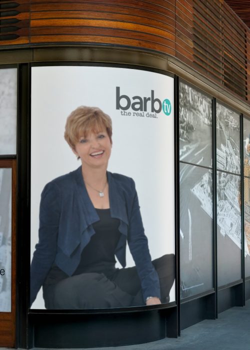 mockup – barb2 mockup - barb2